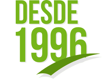 Formación para adultos, cursos de inglés y cursos bonificables para empresas